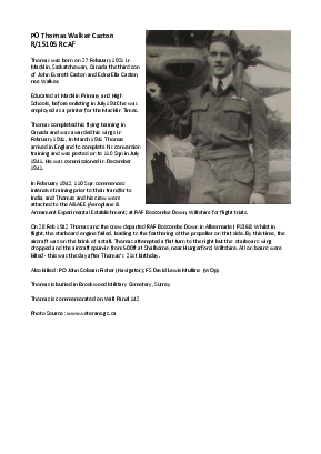 A preview of a PDF biography for Caston, Thomas Walker